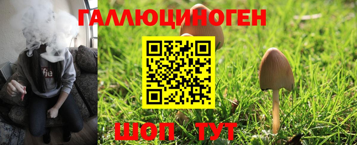 Киселёвск  Псилоцибиновые грибы Cubensis  даркнет сайт  Галлюциногенные грибы Cubensis  Вход с VPN 