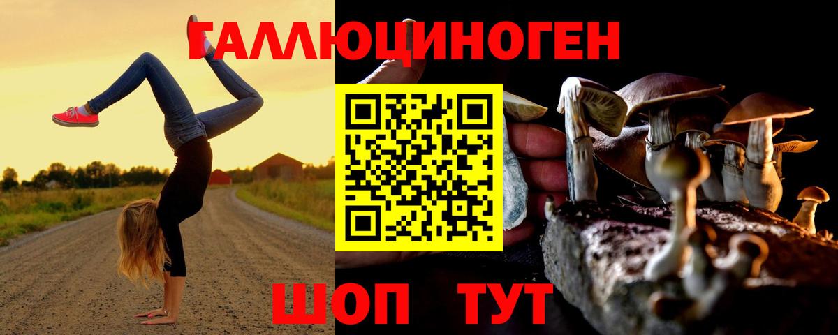 Галлюциногенные грибы Psilocybe Киселёвск